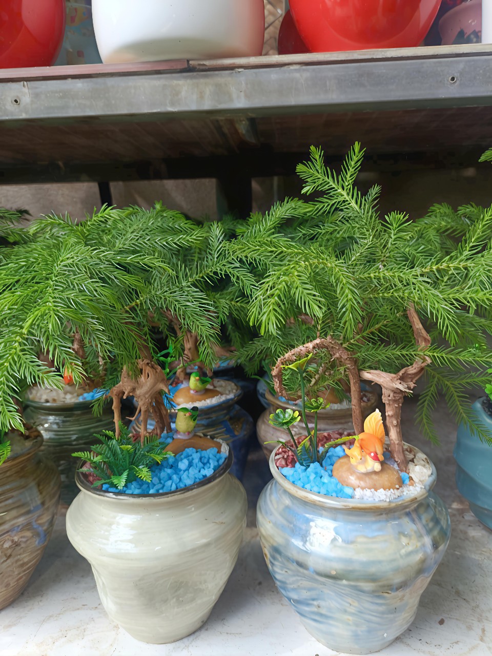 Top 5 Cây Để Bàn Bền Đẹp Để Bàn Làm Việc