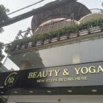 Cây cảnh giá sỉ