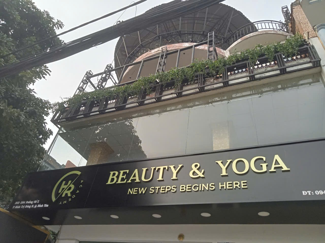 Cây cảnh giá sỉ